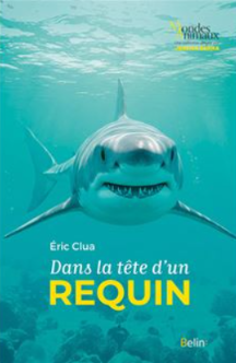 Dans la tete des requins